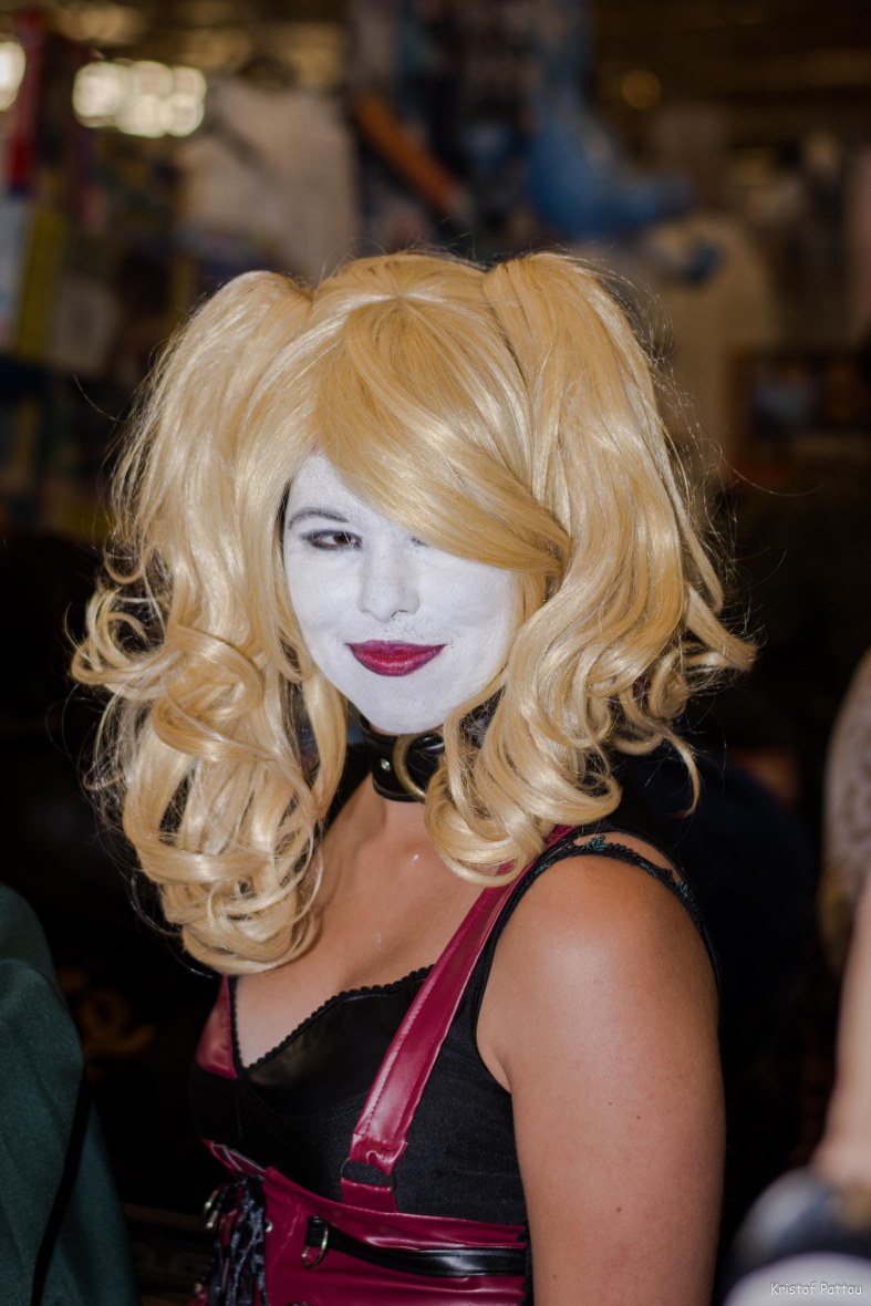 FACTS, one of the biggest sci-fi, anime and comic festivals in the Benelux.